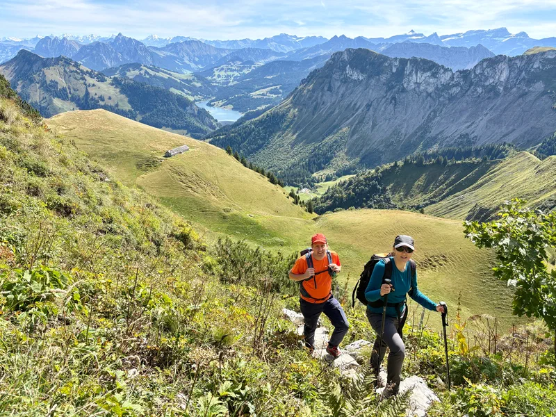 swiss alps