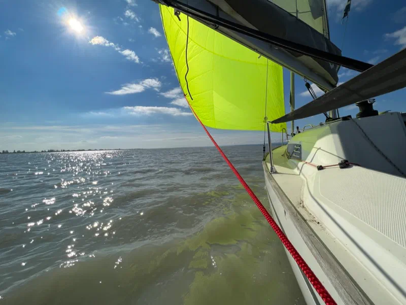 spinnaker up